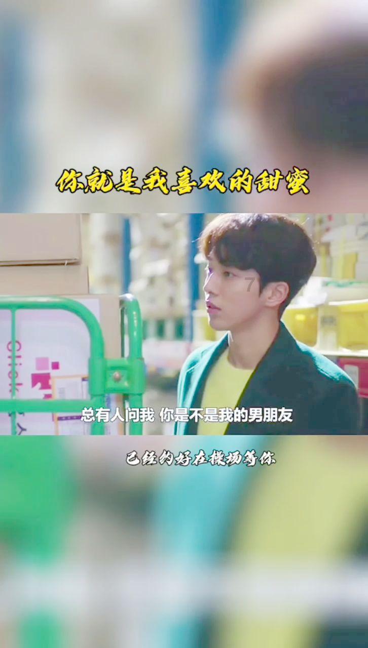 小猫钓鱼正版下载中文版